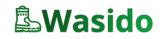 Wasido Shoes